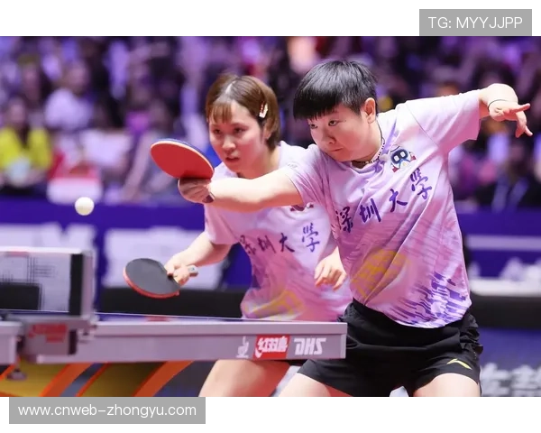 乒乓球队内竞争：新生代如何挑战主力队员地位